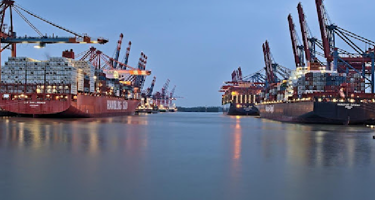 What Food Importers Need To Know About FSVP