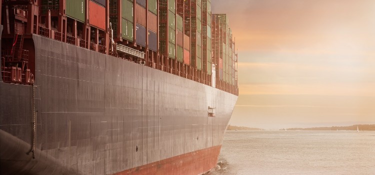 optimize-ocean-freight-2019